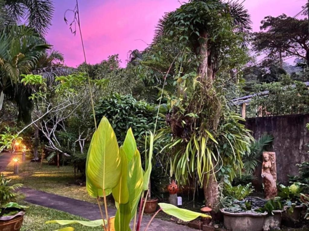 קו צ'אנג Sanook Sanang Resort מראה חיצוני תמונה