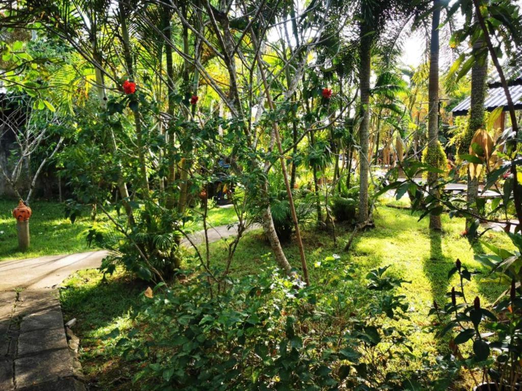 קו צ'אנג Sanook Sanang Resort מראה חיצוני תמונה